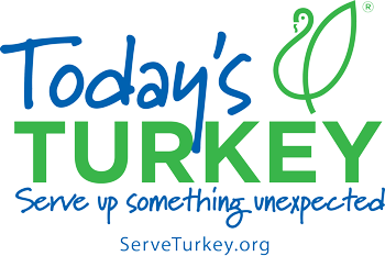 Todays Turkey Logo with Website rgb