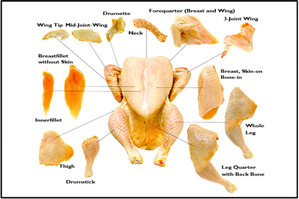 turkey parts